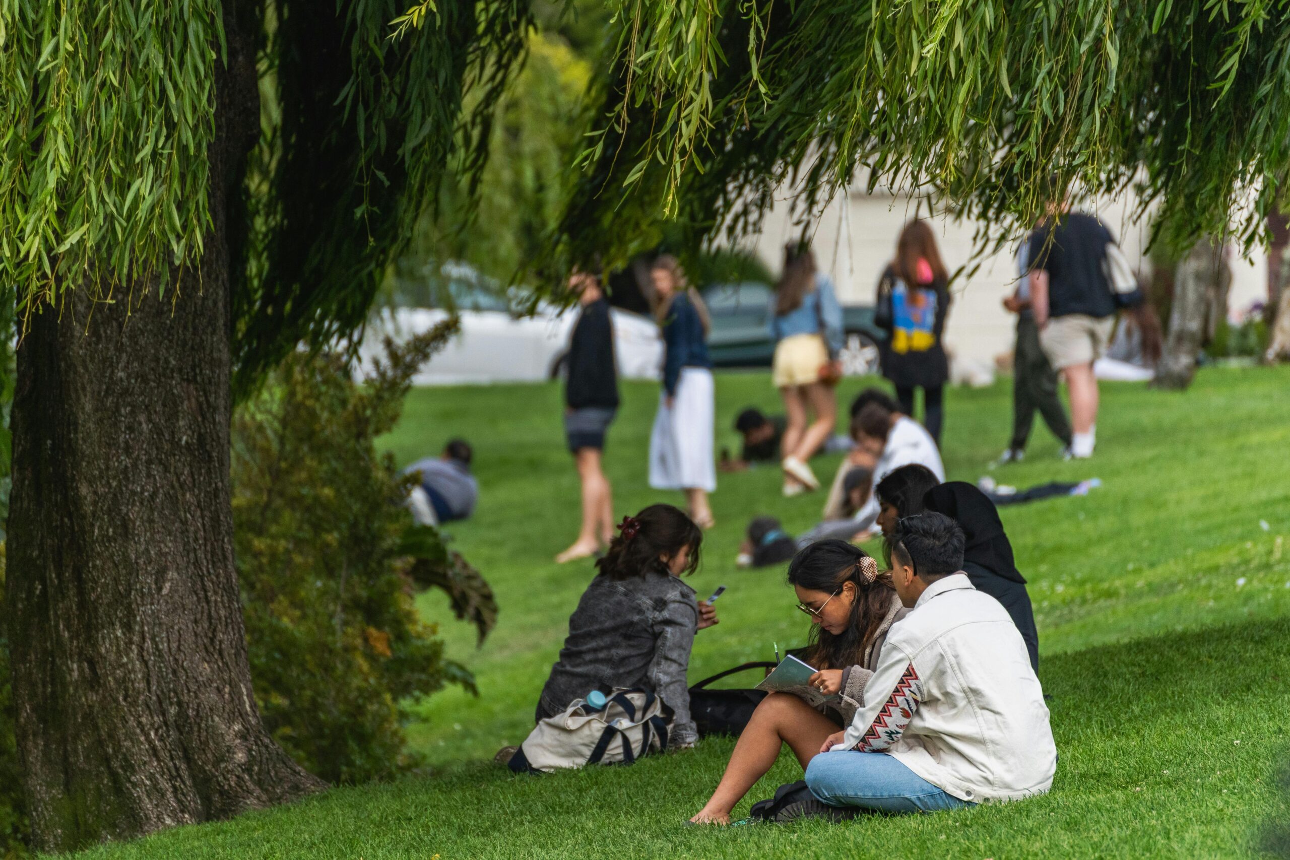 Group of young adults relaxing and socializing under a large tree in a park setting.